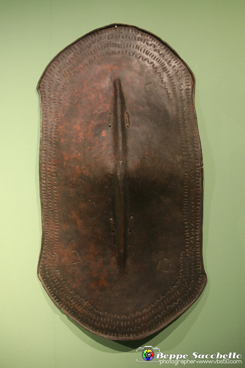 VBS_5357 - Africa - Le collezioni dimenticate.jpg